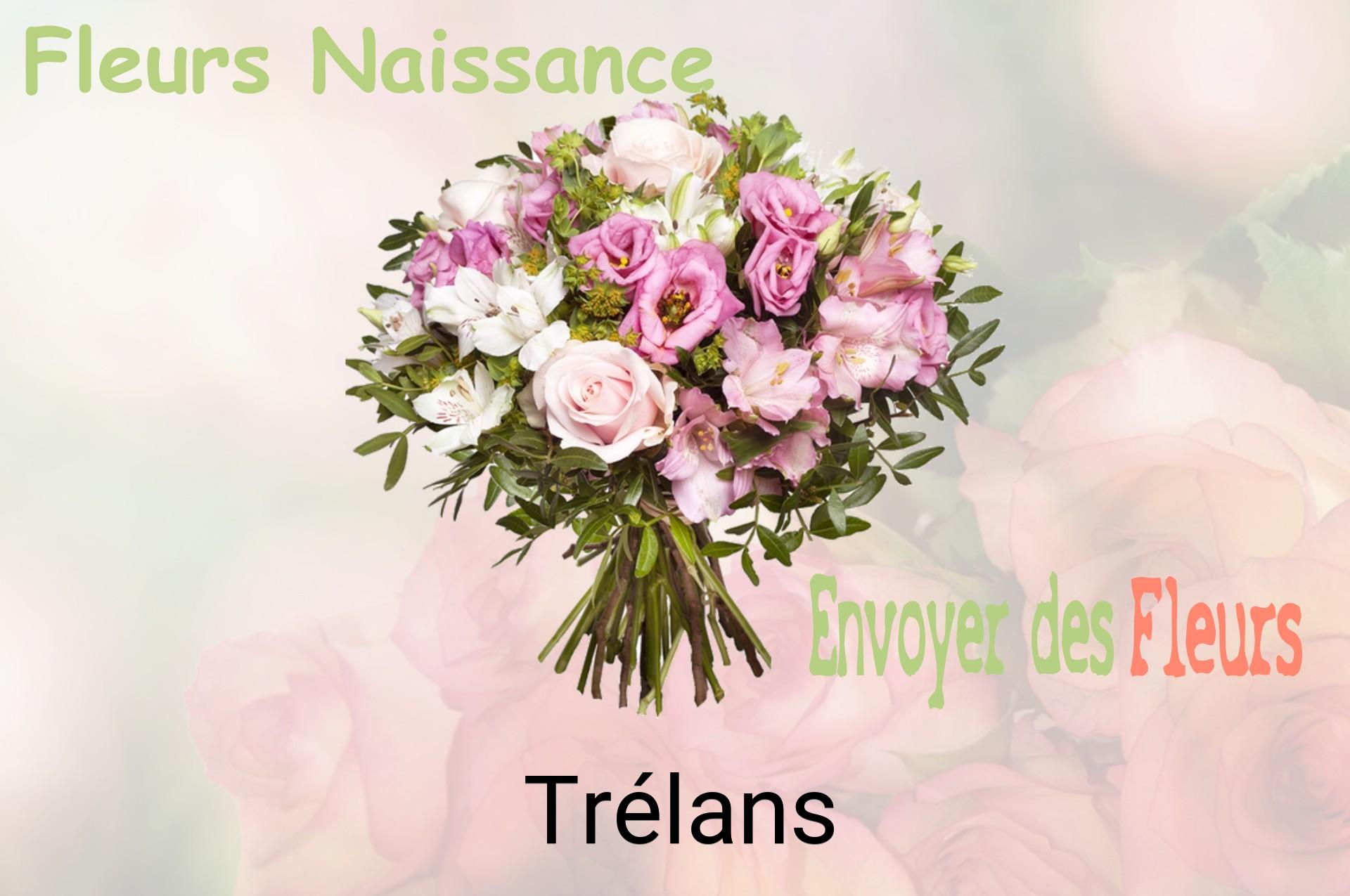 Bouquet de fleurs de naissance livré à Trélans