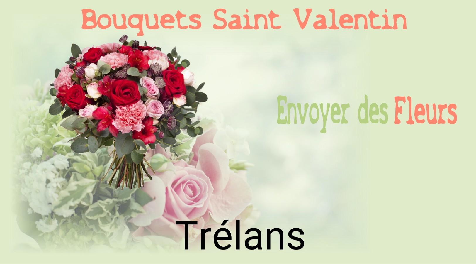Roses de Saint-Valentin livrées à Trélans