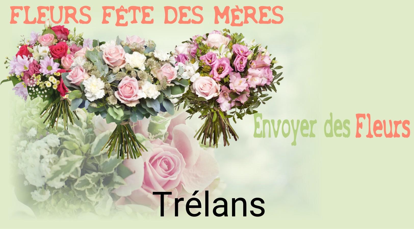 Bouquet de Fête des Mères livré à Trélans